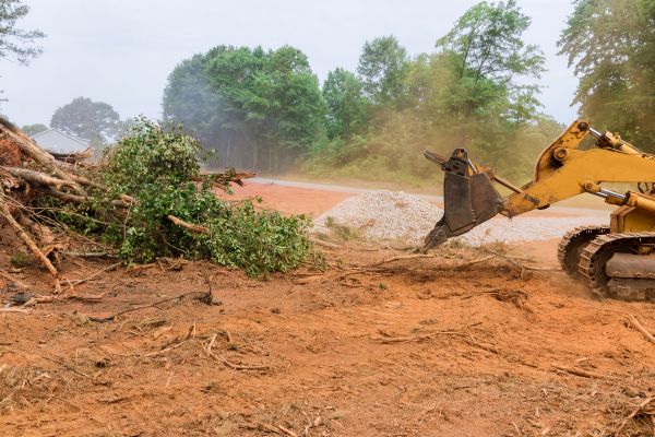 Ground Clearing in Lancaster