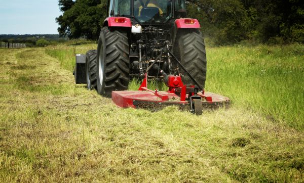 Brush Clearing Service in Lancaster