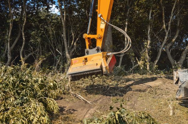 Brush Removal Service in Lancaster