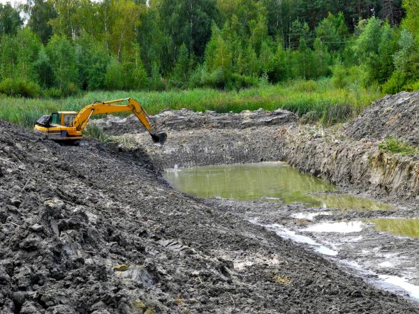 Cost of Lake Lot Clearing in Lancaster