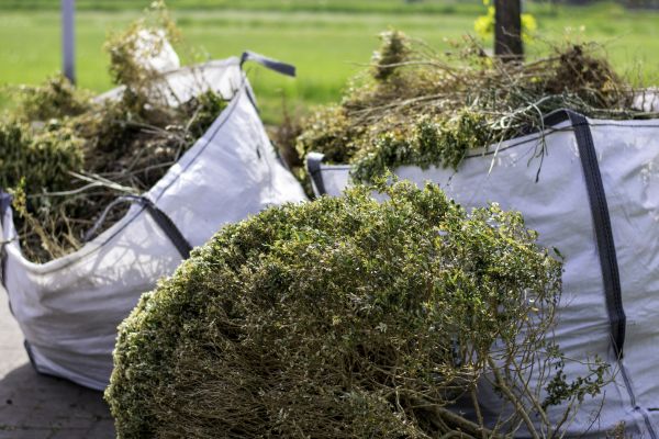 Cost of Bushes Clearing in Lancaster