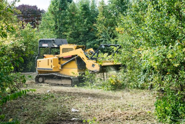 Cost of Pathway Clearing in Lancaster