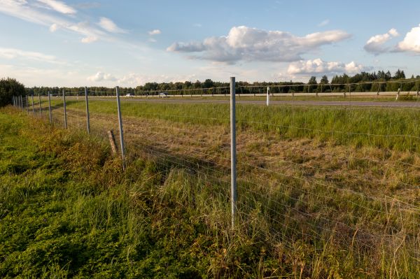 Cost of Property Line Clearing in Lancaster