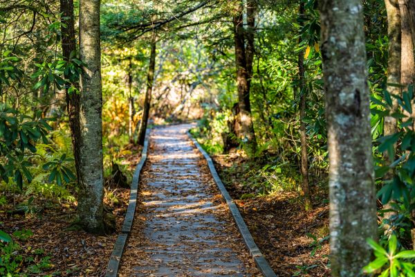 Cost of Trail Clearing in Lancaster