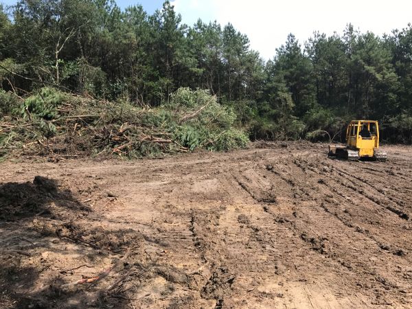 Cost of Thicket Clearing in Lancaster