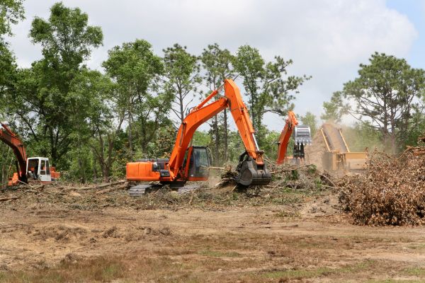 Cost of Commercial Lot Clearing in Lancaster