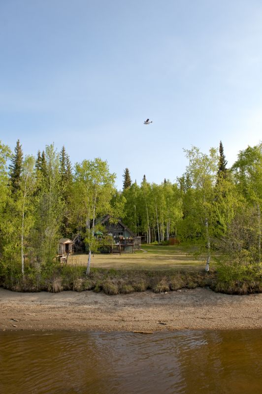 Local Land Clearing Experts
